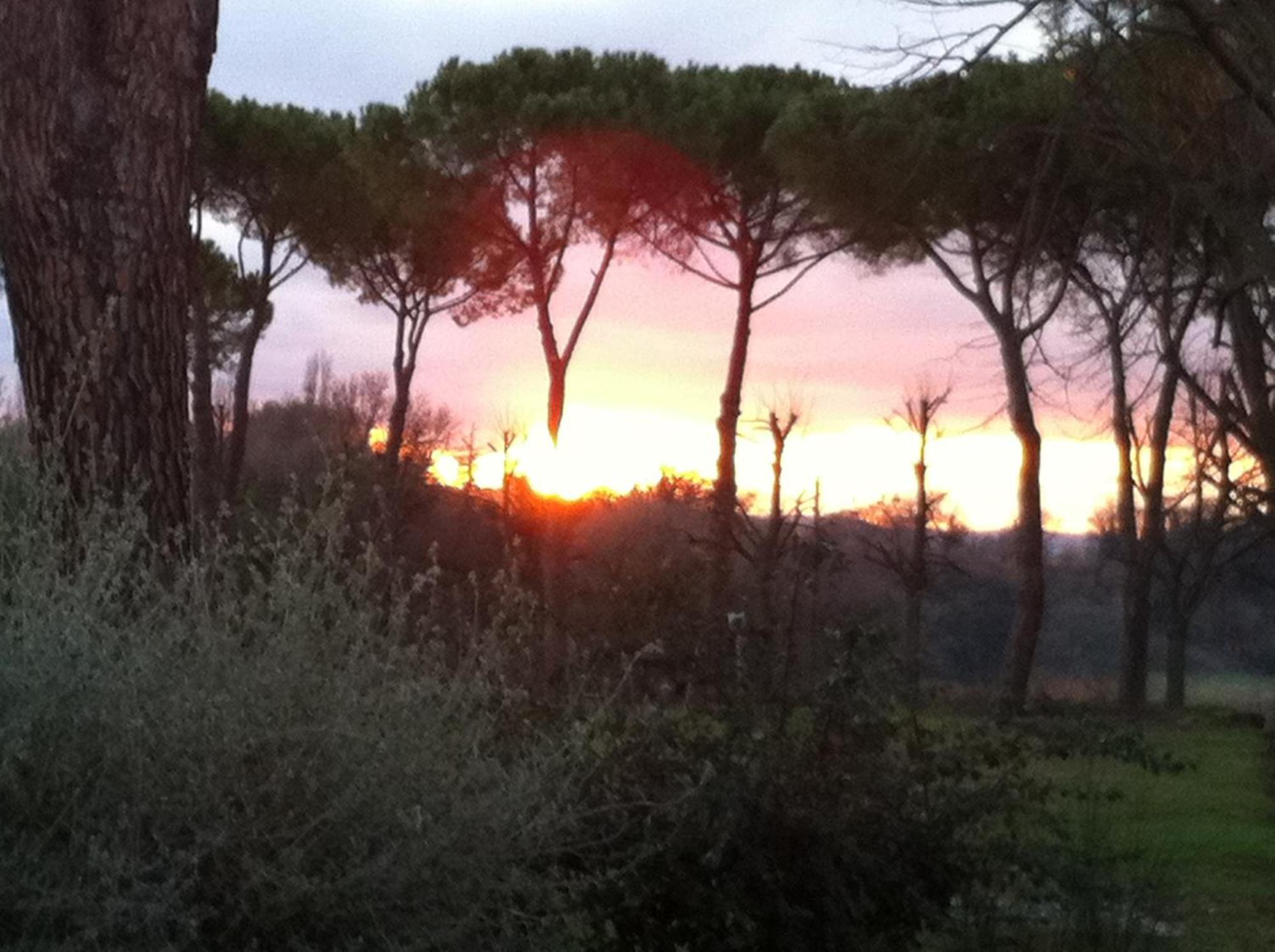 Villa Acquaviva Wine Resort 蒙特马拉诺 外观 照片