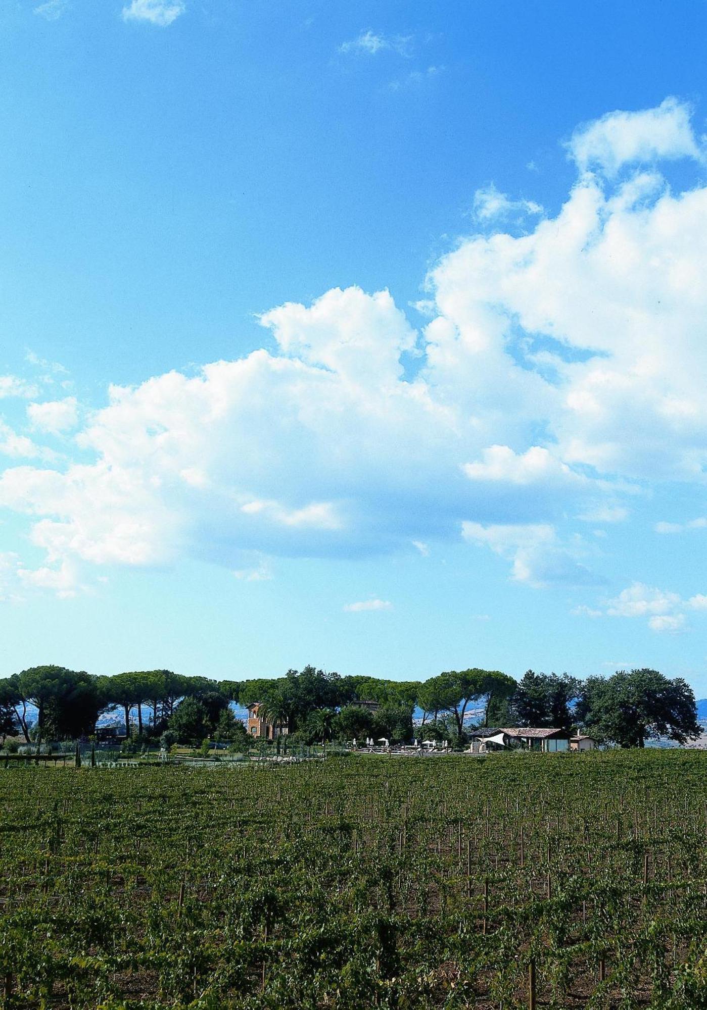 Villa Acquaviva Wine Resort 蒙特马拉诺 外观 照片