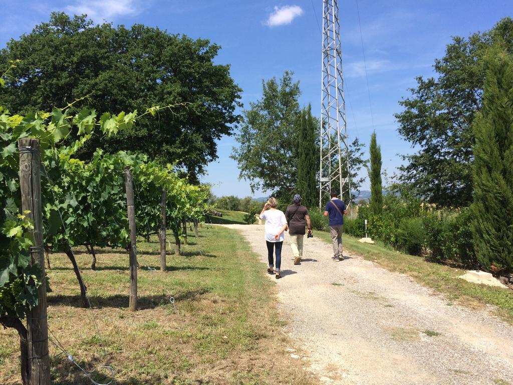 Villa Acquaviva Wine Resort 蒙特马拉诺 外观 照片