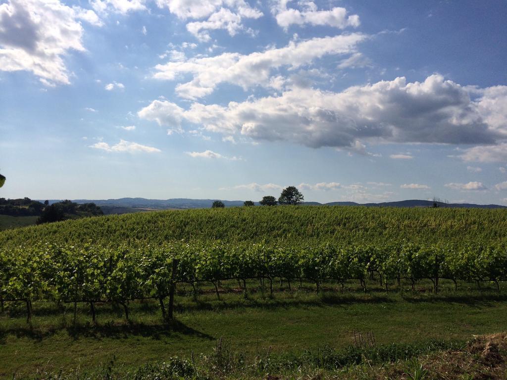 Villa Acquaviva Wine Resort 蒙特马拉诺 外观 照片