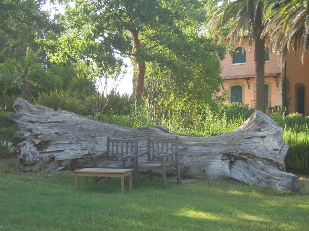 Villa Acquaviva Wine Resort 蒙特马拉诺 外观 照片