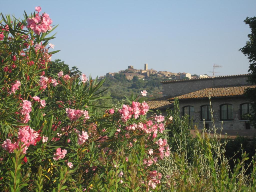 Villa Acquaviva Wine Resort 蒙特马拉诺 外观 照片