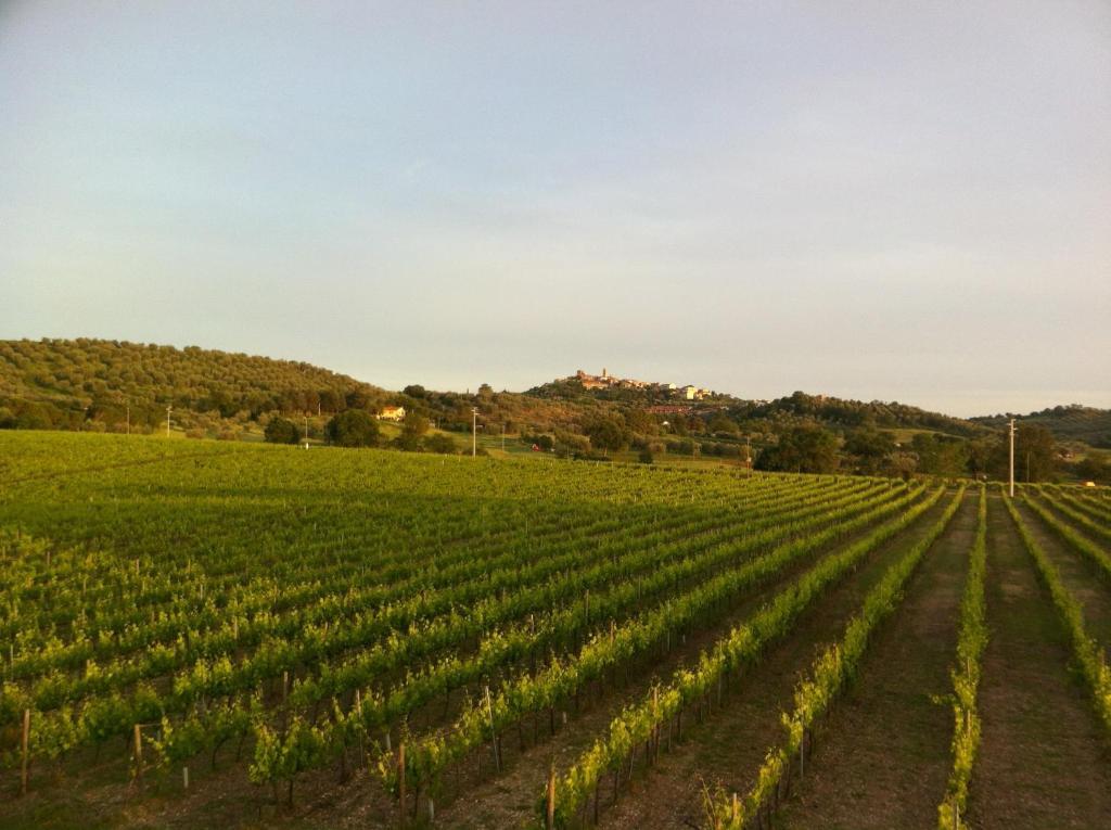 Villa Acquaviva Wine Resort 蒙特马拉诺 外观 照片